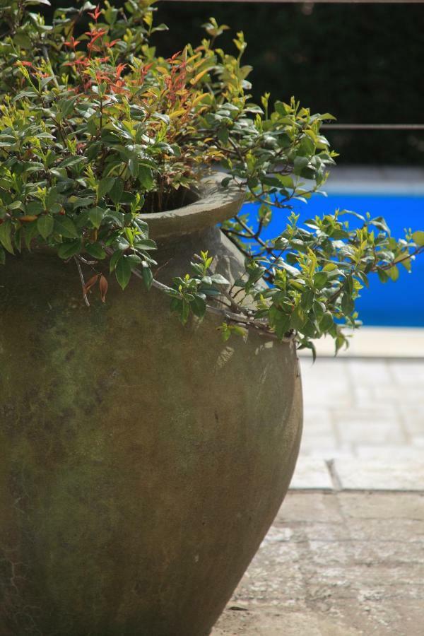 Spacious Villa In Parecag With A Swimming Pool Secovlje Luaran gambar